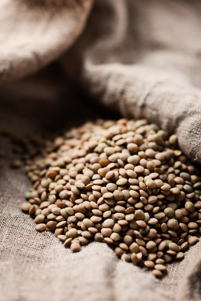 Lentils