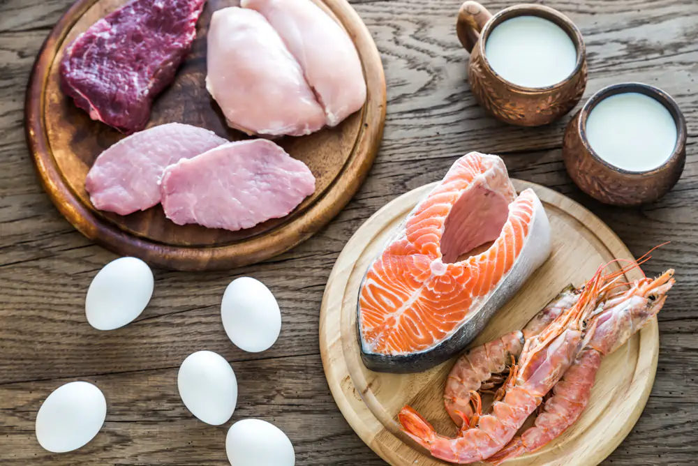 Proteins for a low carb diet
