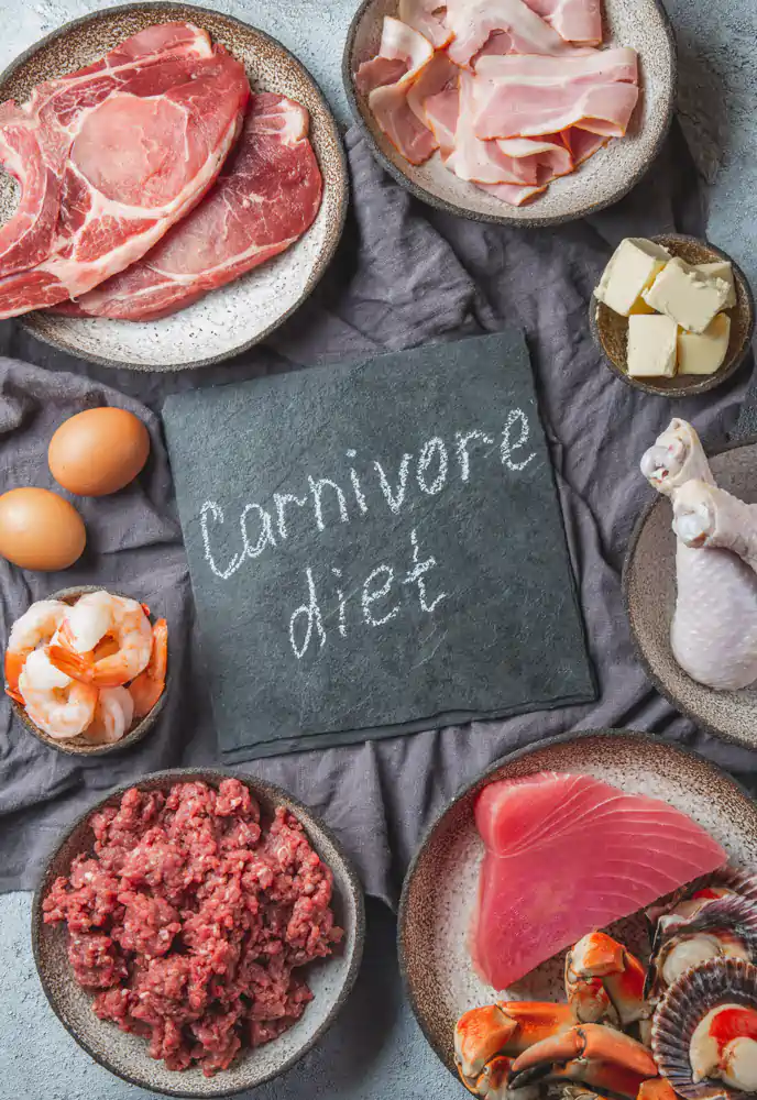 Different kind of meat and animal products in the carnivore diet
