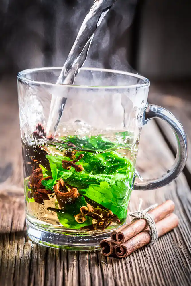 brewing hot peppermint tea