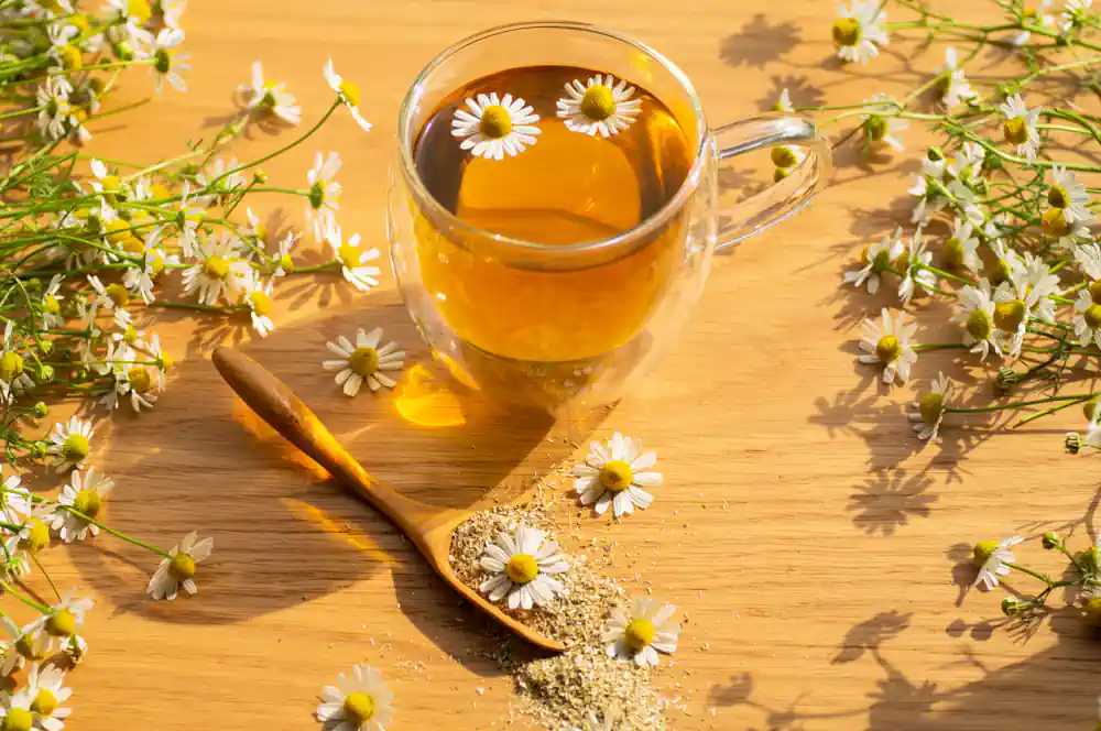 Chamomile tea