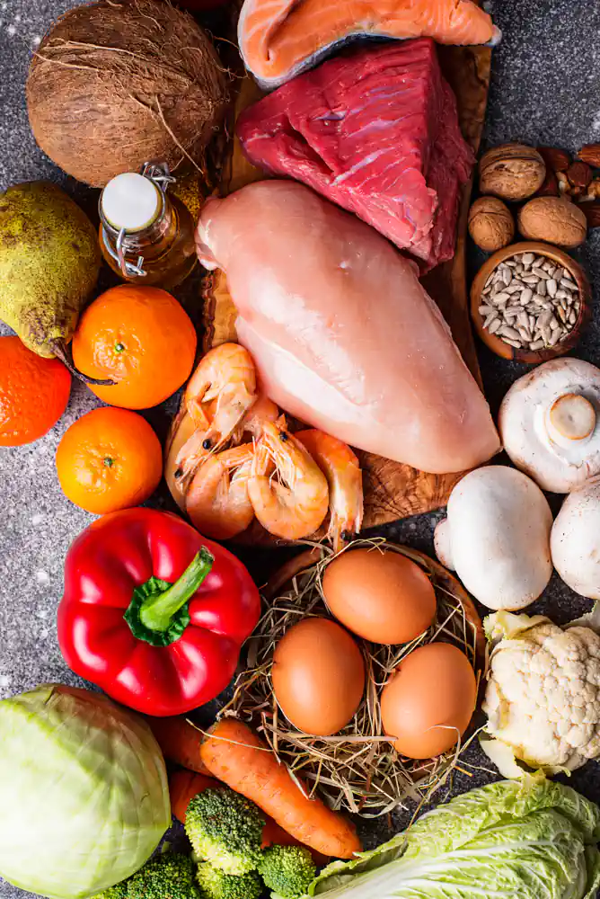 different paleo diet foods