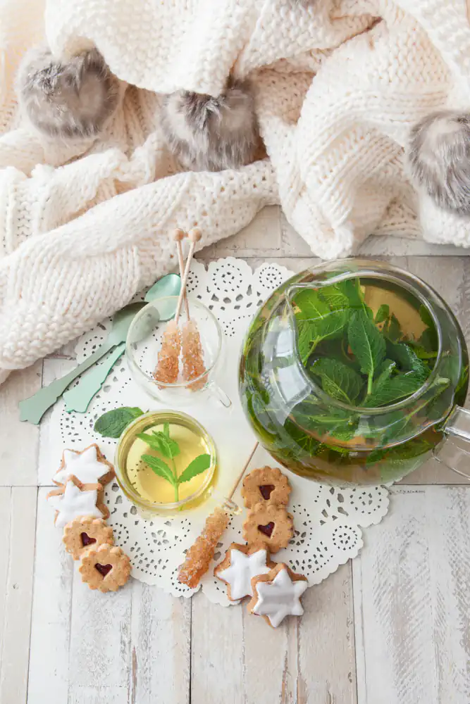 Peppermint tea laid out beautifully