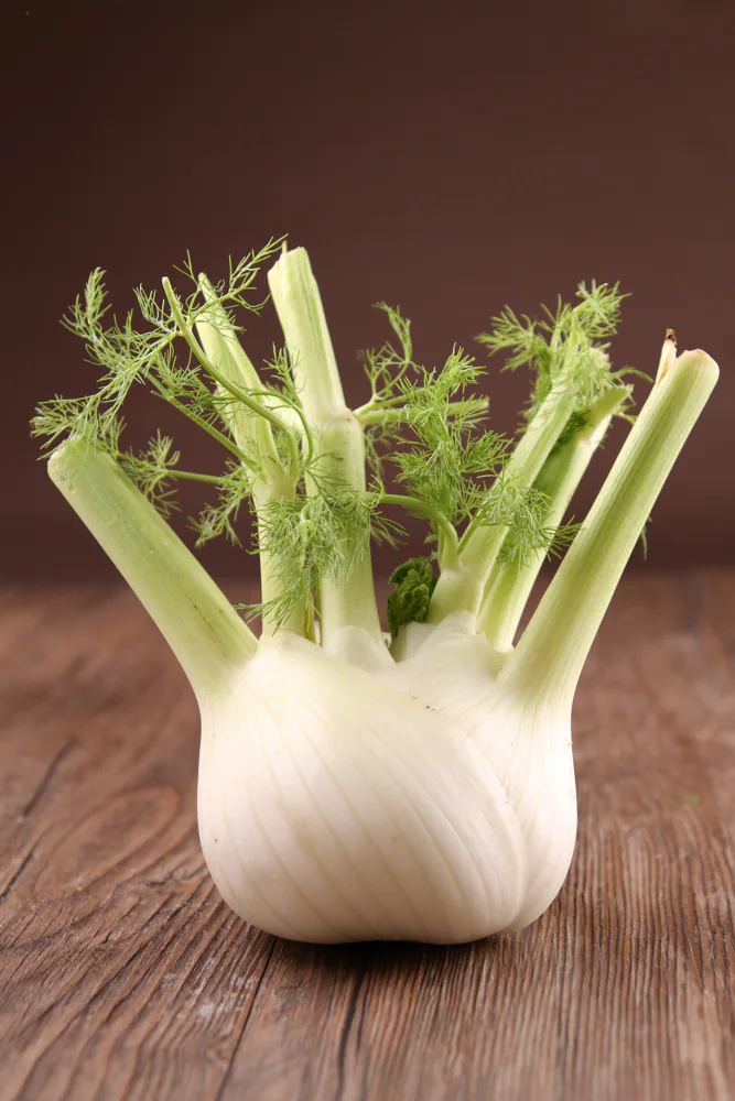 Fennel - foods that reduce bloating naturally